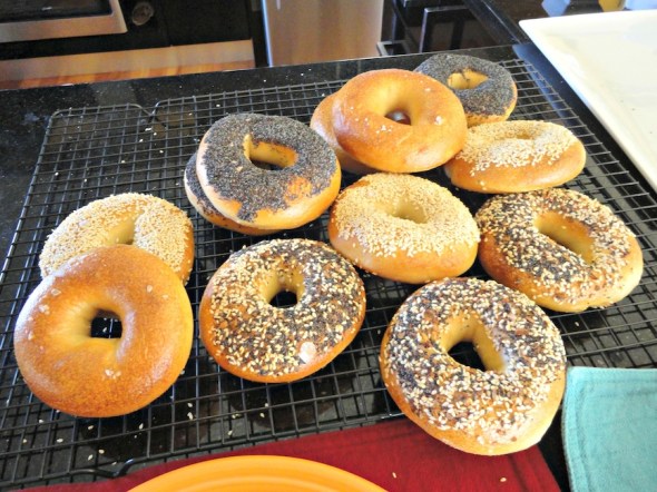 bagel7
